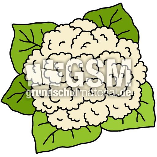 Blumenkohl_farb.jpg
